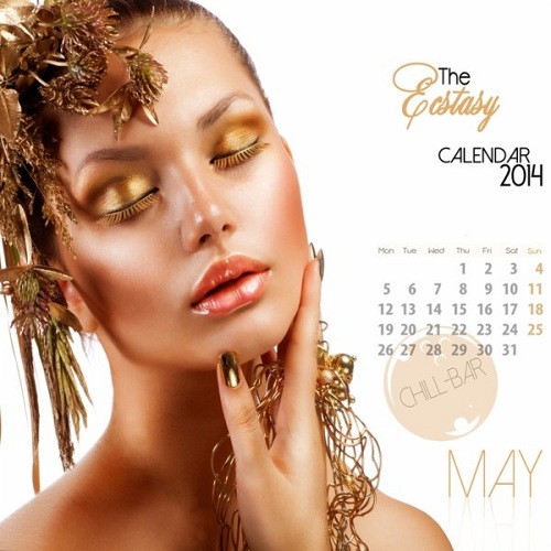 VA - The Ecstasy Calendar 2014 