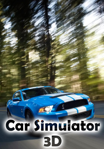 Car Simulator 3D