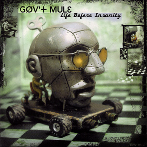 Gov't Mule - Life Before Insanity