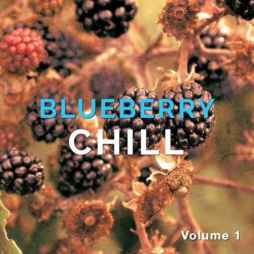 VA - Blueberry Chill Vol 1-2 