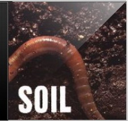 Soil -  