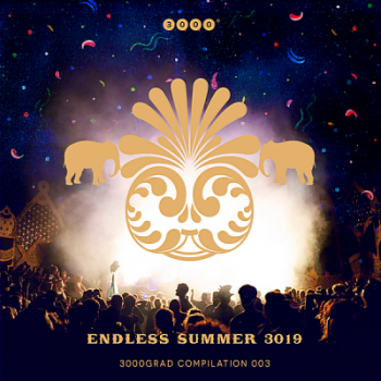 VA - Endless Summer 3019