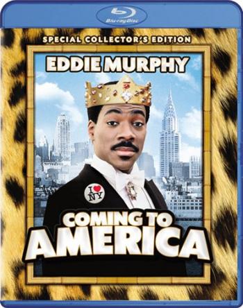    / Coming To America 4xMVO + 2xDVO+ 3xAVO