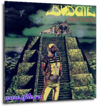 Budgie -  