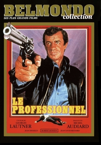  / Le professionnel DUB