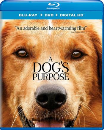   / A Dog's Purpose DUB [iTunes]