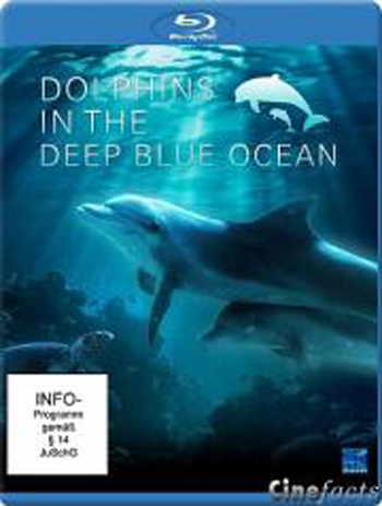      / Dolphins In The Deep Blue Ocean