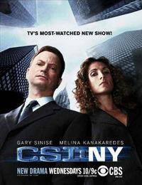  : -, 5  25  / CSI:NY