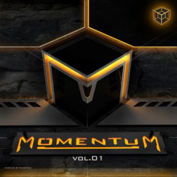 VA - Momentum vol.1