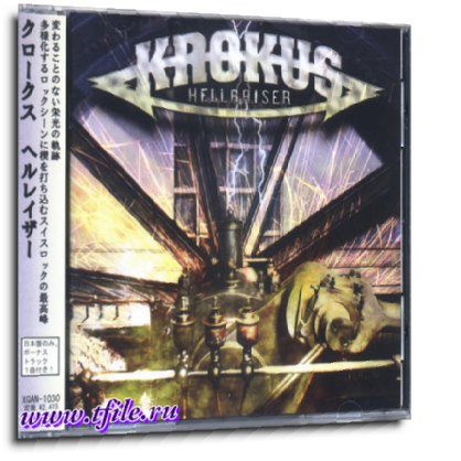 Krokus -  