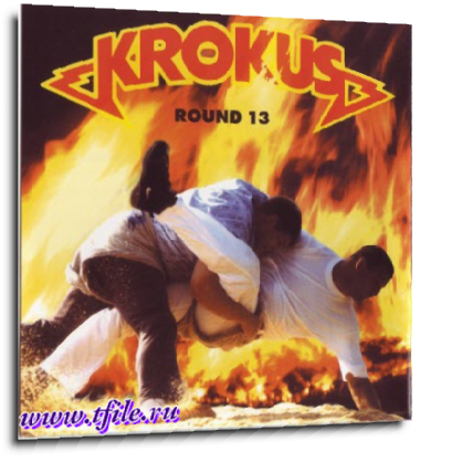 Krokus -  