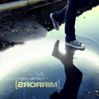 Breakdown of Sanity - The Storm