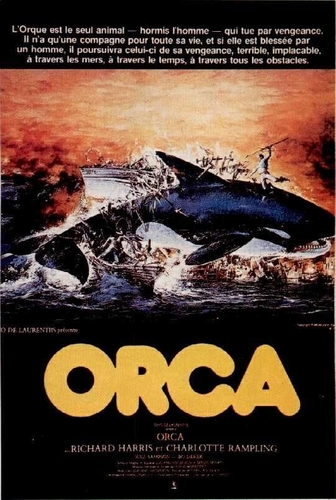    / Orca DVO