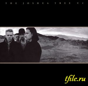 U2 -  