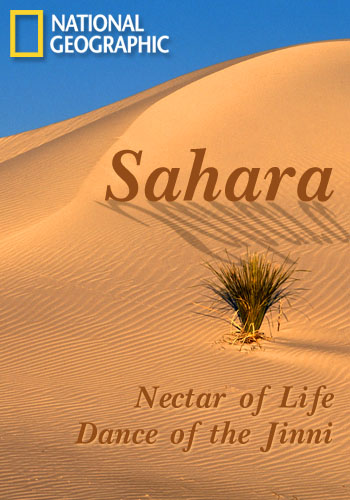 National Geographic -  / National Geographic - Sahara