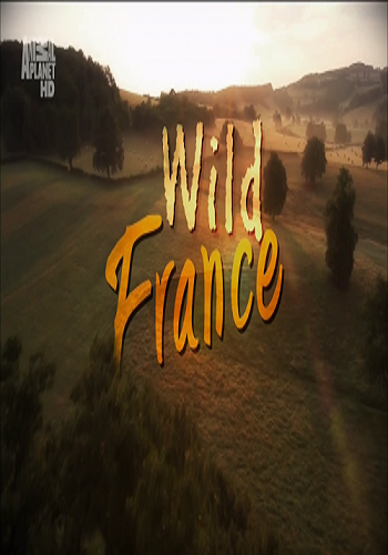   / Wild France (10   10) VO