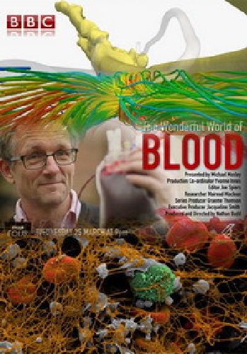    / The Wonderful World of Blood with Michael Mosley DUB