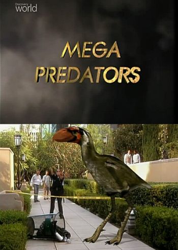  (1-6   6) / NAT GEO WILD. I predator VO