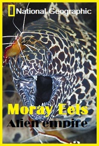 .   / NAT GEO WILD. Moray. Alien empire VO