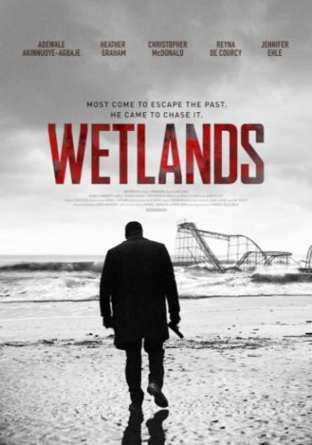  / Wetlands MVO