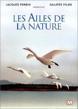 .   (3   3) / Les ailes de la nature VO