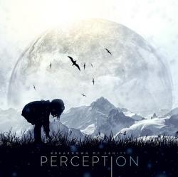 Breakdown Of Sanity - Perception