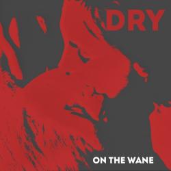 On The Wane - DRY