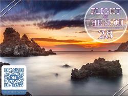 VA - Flight Of The Soul vol.28