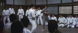    ( 2, 3) / Kyokuskin kenka karate