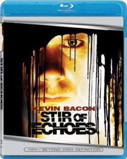   / Stir of echoes MVO + DVO