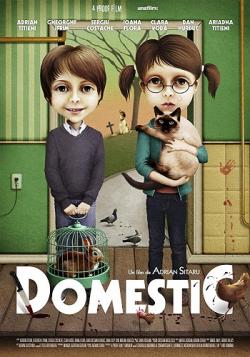    / Domestic DVO