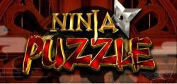 Ninja Puzzle