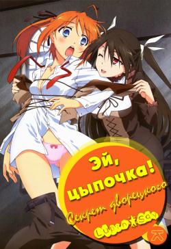 ,  / Mayo Chiki! [TV] [12  12] [RAW] [RUS+JAP]