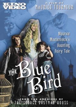   / The Blue Bird INT