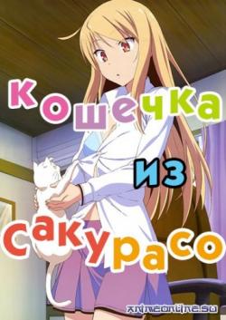    / Sakurasou no Pet na Kanojo [TV] [01-24  24] [RAW] [RUS] [720p]