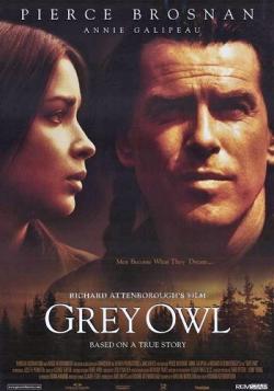   / Grey Owl DVO