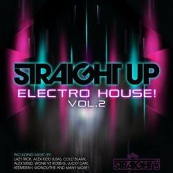 VA - Straight Up Electro House! Vol 2