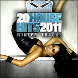 VA - 20 House Hits 2011: Winter Tracks