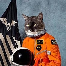 Klaxons - Surfing The Void