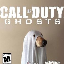 Call of Duty: Ghosts