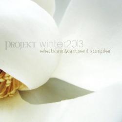 VA - Winter 2013 - Free Electronic Sampler