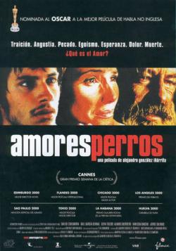 - / Amores perros DVO