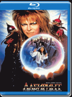  / Labyrinth MVO