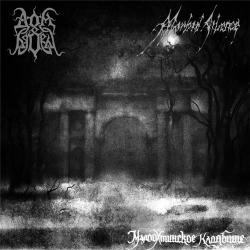   Morbid Silence -  