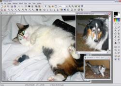 PhotoFiltre 6.2.6 (2007)