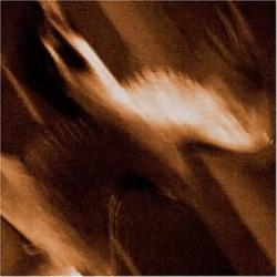 Agalloch-Ashes Against The Grain (2006)