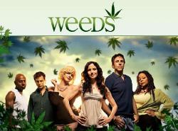  / Weeds, 3  (15   15) ,   ,  .  , 