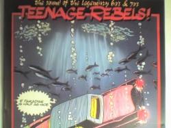 Various Artists - Teenage Rebels - If Paradise is half as nice