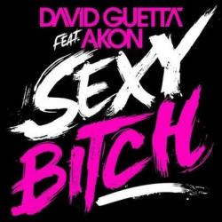 David Guetta Akon - Sexy Bitch