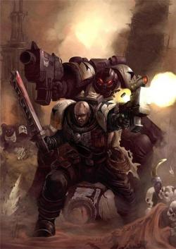    Warhammer 40000   (24 )